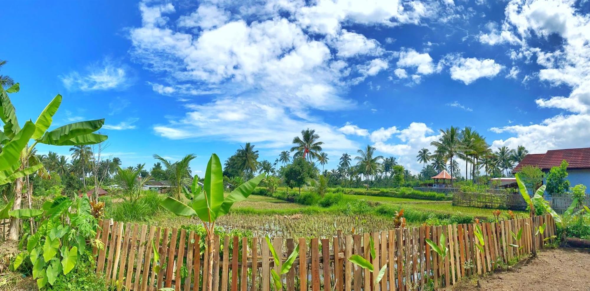 Alfarizi Homestay テテバトゥ エクステリア 写真