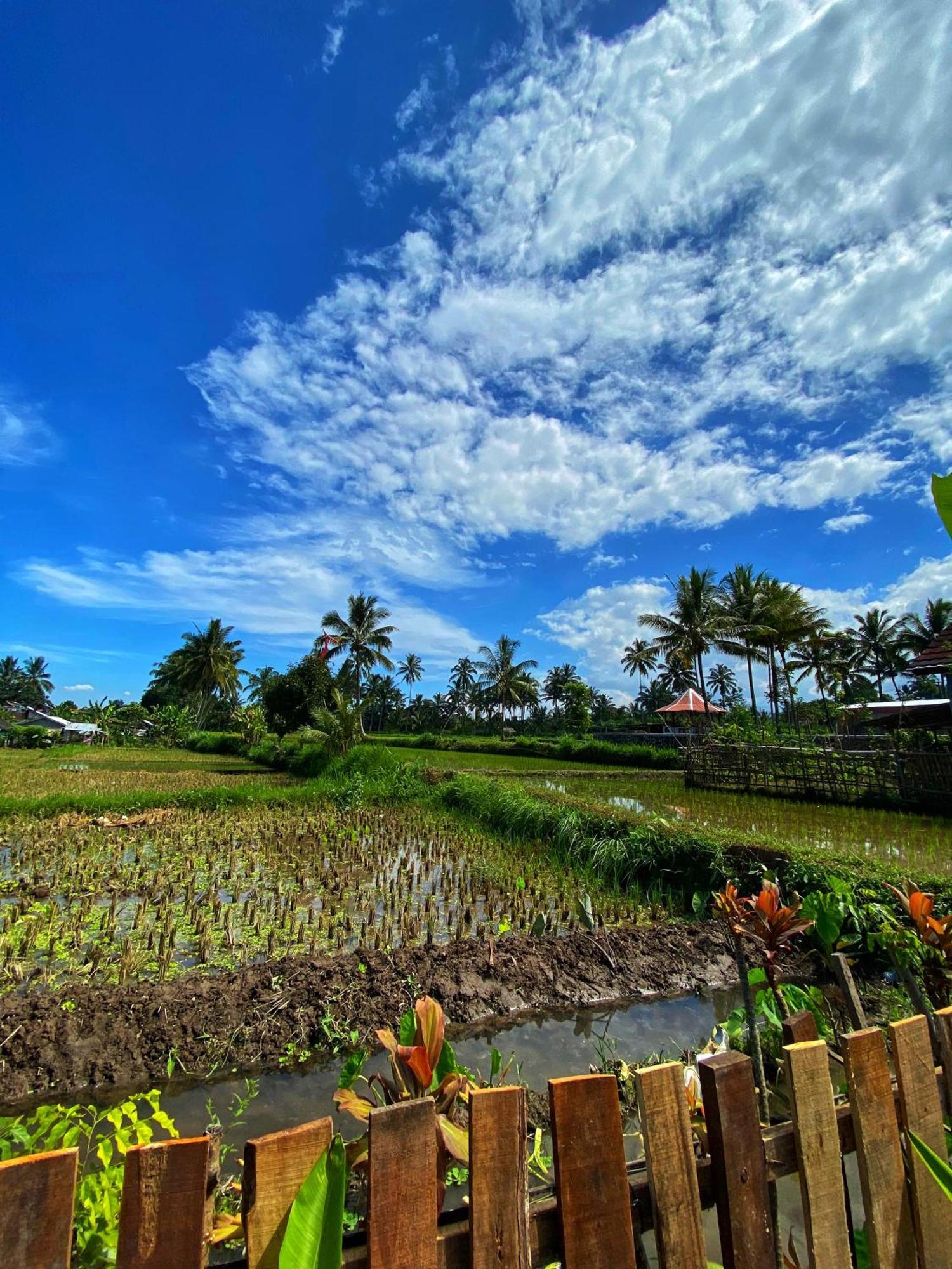Alfarizi Homestay テテバトゥ 部屋 写真