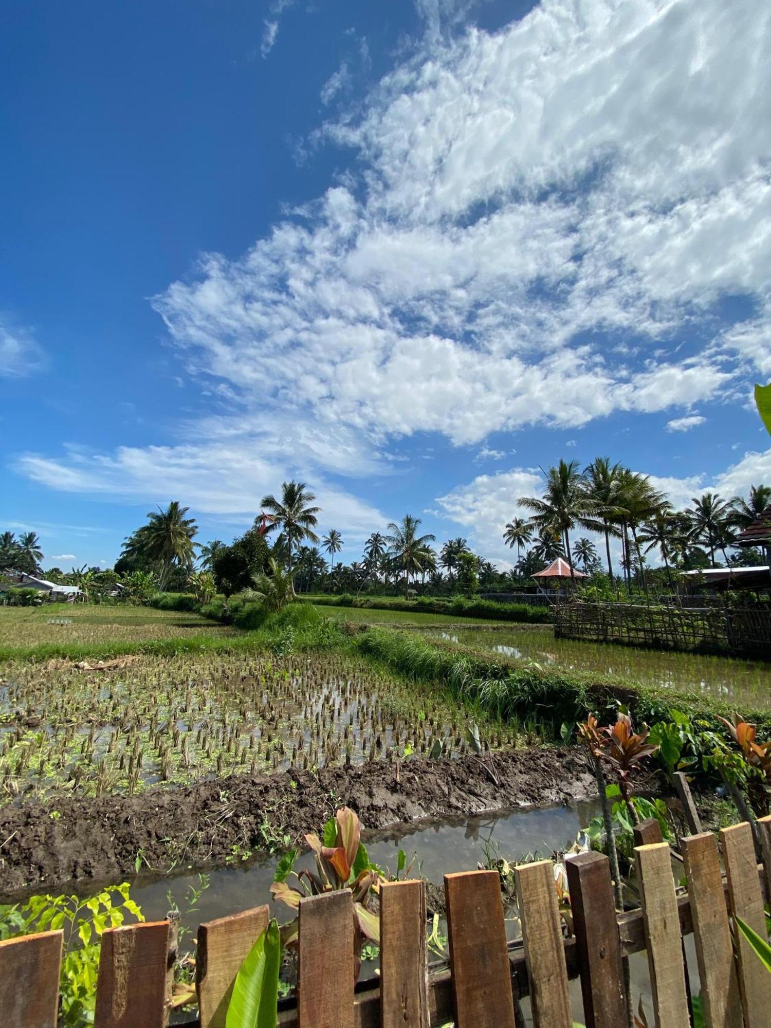 Alfarizi Homestay テテバトゥ エクステリア 写真