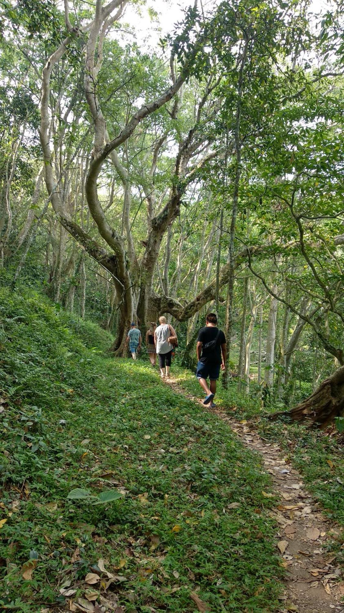 Alfarizi Homestay テテバトゥ エクステリア 写真