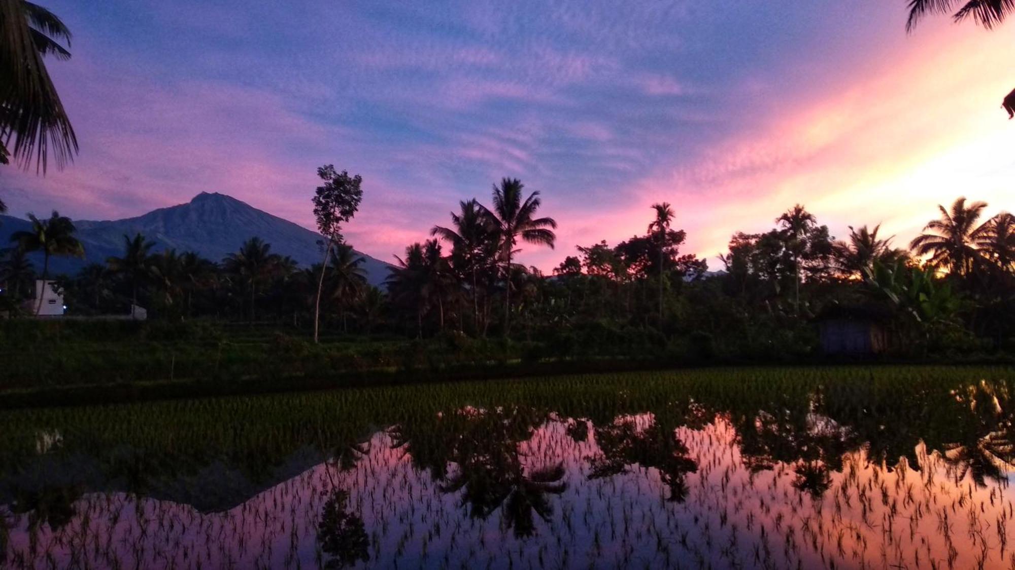 Alfarizi Homestay テテバトゥ エクステリア 写真