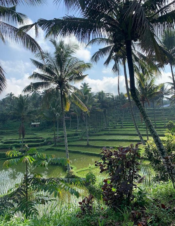 Alfarizi Homestay テテバトゥ エクステリア 写真