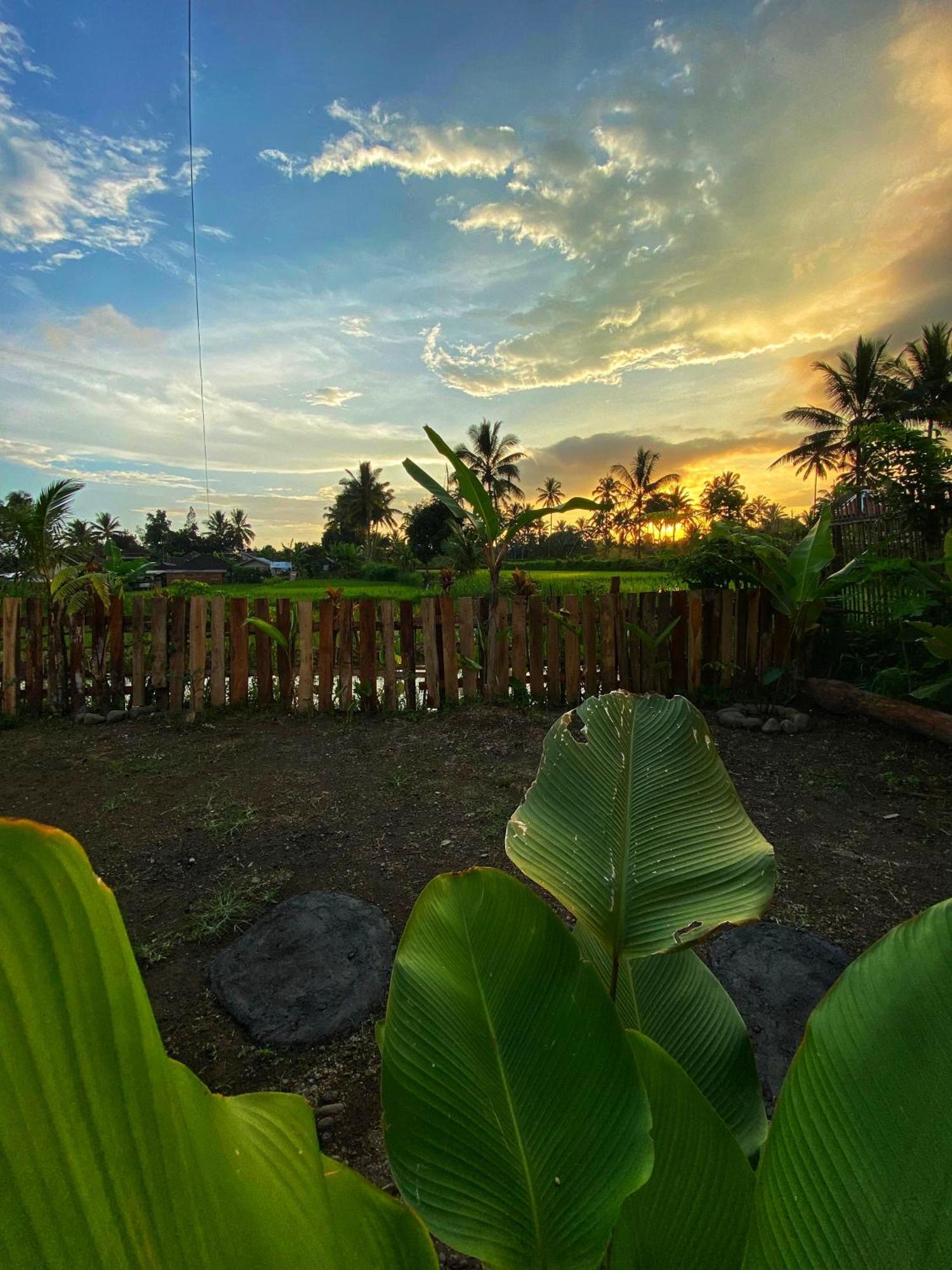 Alfarizi Homestay テテバトゥ エクステリア 写真