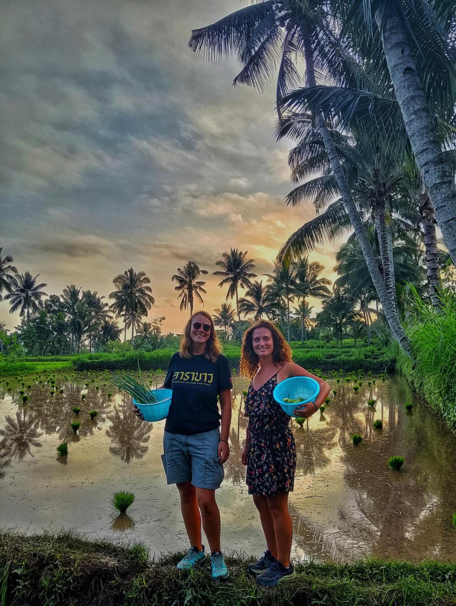 Alfarizi Homestay テテバトゥ エクステリア 写真