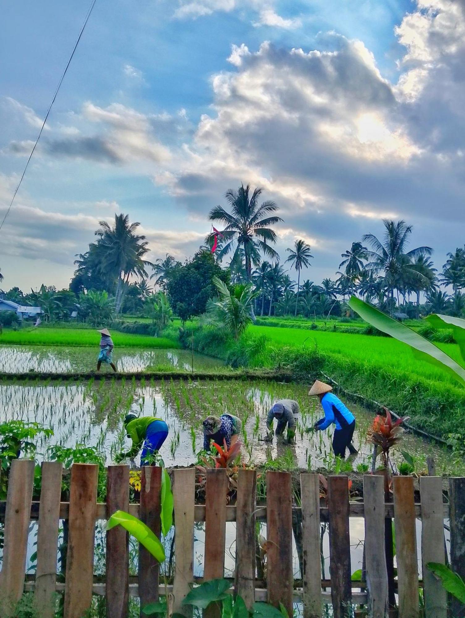 Alfarizi Homestay テテバトゥ エクステリア 写真