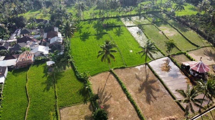 Alfarizi Homestay テテバトゥ エクステリア 写真